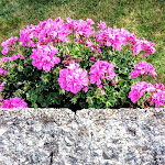 Photo n°25 de l'avis de Tamara.i fait le 03/07/2020 à 21:09 sur le  Hotel La Pace à Maresca