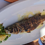 Photo n°4 de l'avis de Ana.a fait le 01/11/2022 à 09:13 sur le  Ristorante Baia Blu à Baja Sardinia