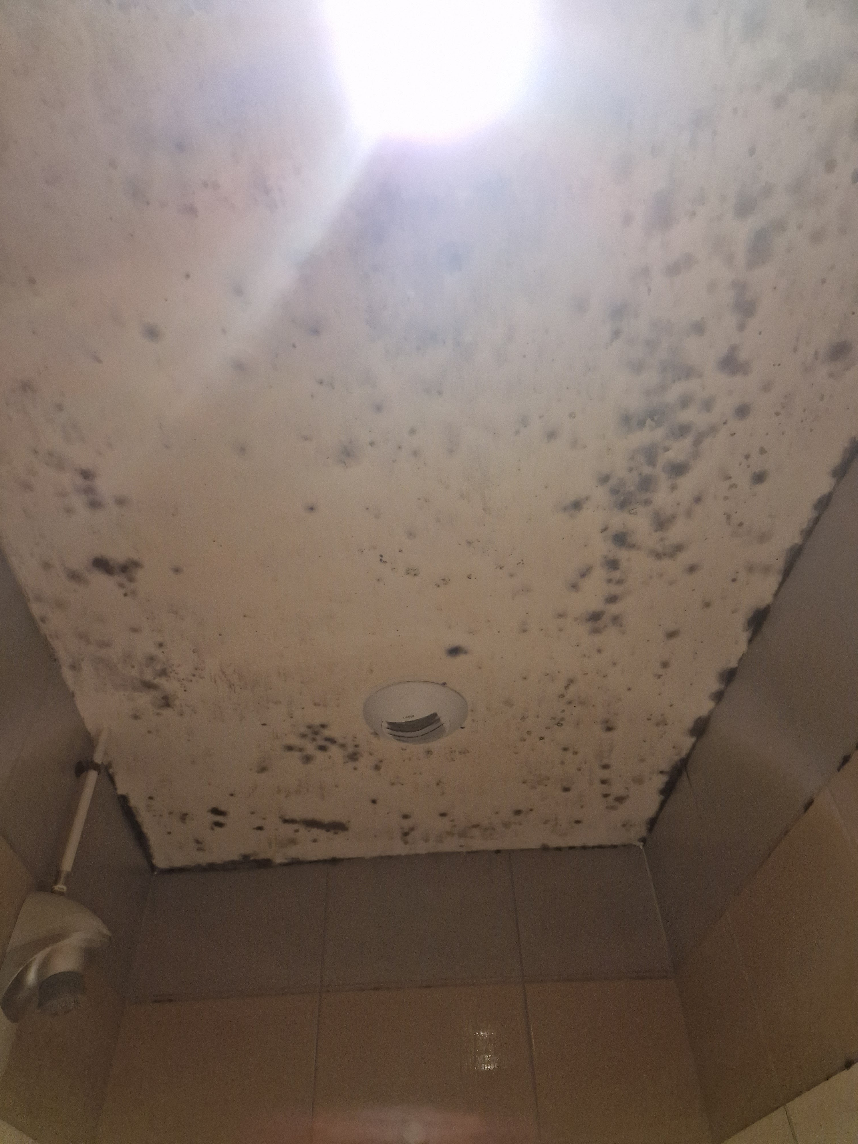 Photo n° 2 de l'avis de Malvin.a fait le 10/11/2023 à 20:08