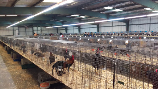 Flea Market «Lake City Flea Market», reviews and photos, 238 FL-247, Lake City, FL 32055, USA