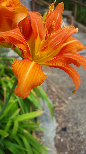 Zoo «Sibley Farm», reviews and photos, 900 Mound Avenue, Mankato, MN 56001, USA