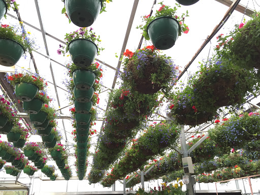 Garden Center «Spencer’s Lawn & Garden Centers», reviews and photos, 1430 S Tejon St, Colorado Springs, CO 80905, USA