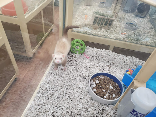 Pet Supply Store «Pet Supermarket, Inc.», reviews and photos, 3911 Lemmon Ave, Dallas, TX 75219, USA