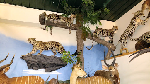 Sporting Goods Store «Midwestern Shooters Supply», reviews and photos, 191 Church St, Lomira, WI 53048, USA