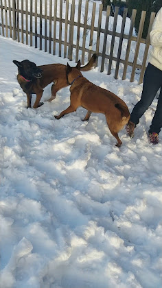 Vidéos Chalet Les fustes caturiges 05230 Chorges