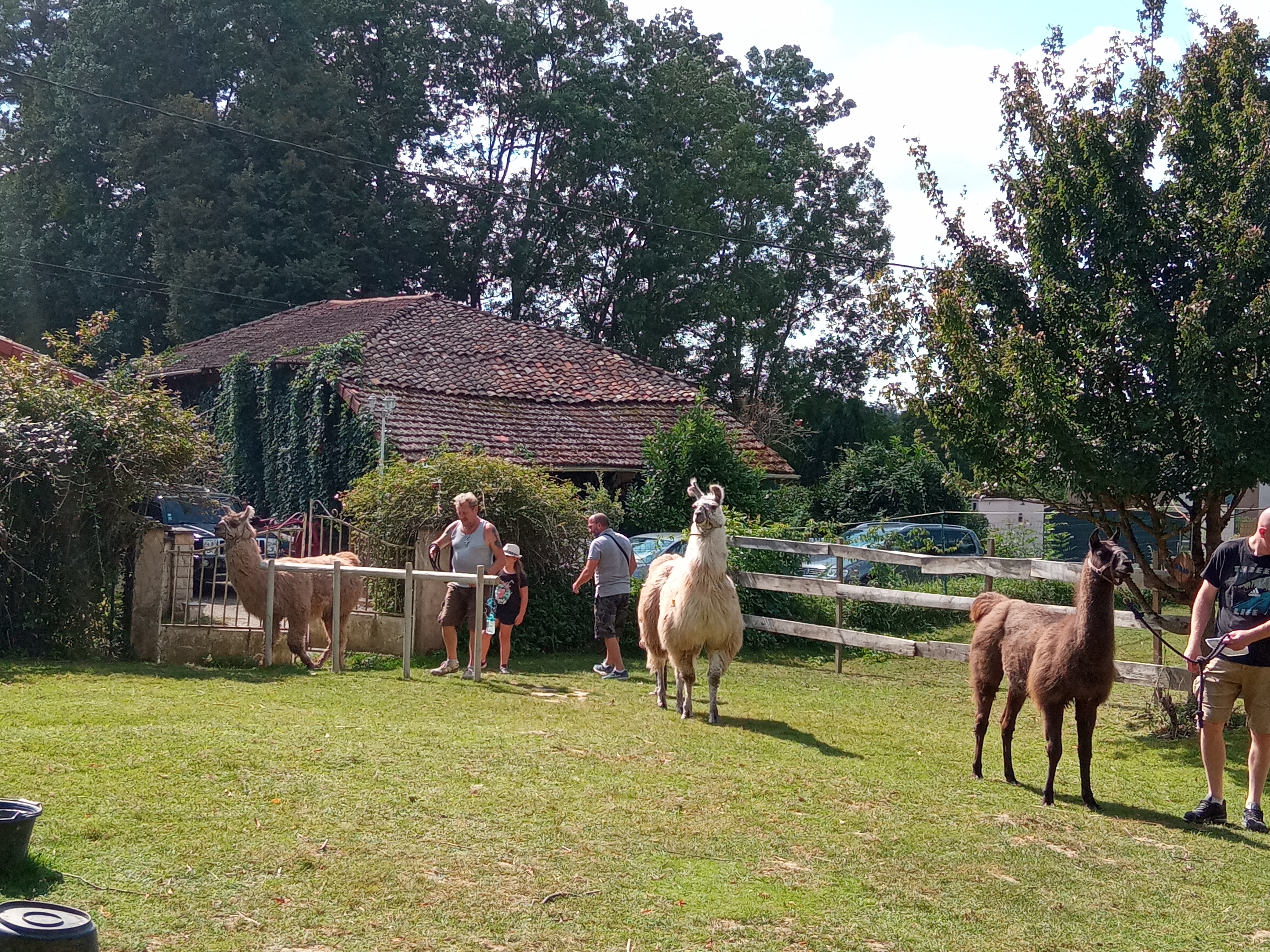 Photo n° 5 de l'avis de bribri.r fait le 31/08/2021 à 14:54