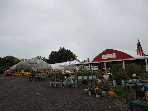 Produce Market «Sunscape Farms», reviews and photos, 1420 Creek St, Rochester, NY 14625, USA