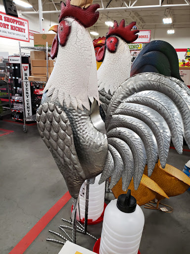 Home Improvement Store «Tractor Supply Co.», reviews and photos, 8447 FL-54, New Port Richey, FL 34655, USA