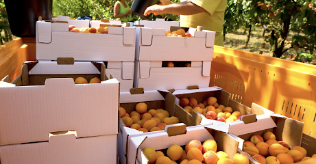 Pick your own farm produce