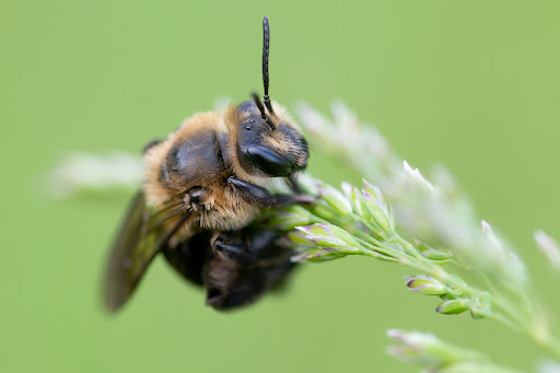 Park «Colby Lake Park», reviews and photos, 9715 Valley Creek Rd, Woodbury, MN 55125, USA