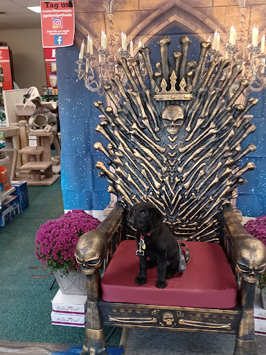 Pet Supply Store «Asheville Pet Supply», reviews and photos, 1451 N Merrimon Ave, Asheville, NC 28804, USA