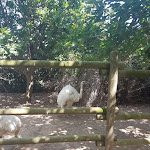 Photo n°3 de l'avis de Laura.a fait le 11/08/2020 à 20:39 sur le  Parc Gallorose à Loc. Cedrino