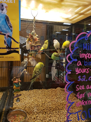 Pet Supply Store «PetSmart», reviews and photos, 976 IL-59, Aurora, IL 60504, USA