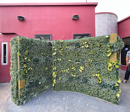 Switch1922 Lounge & Grill photo
