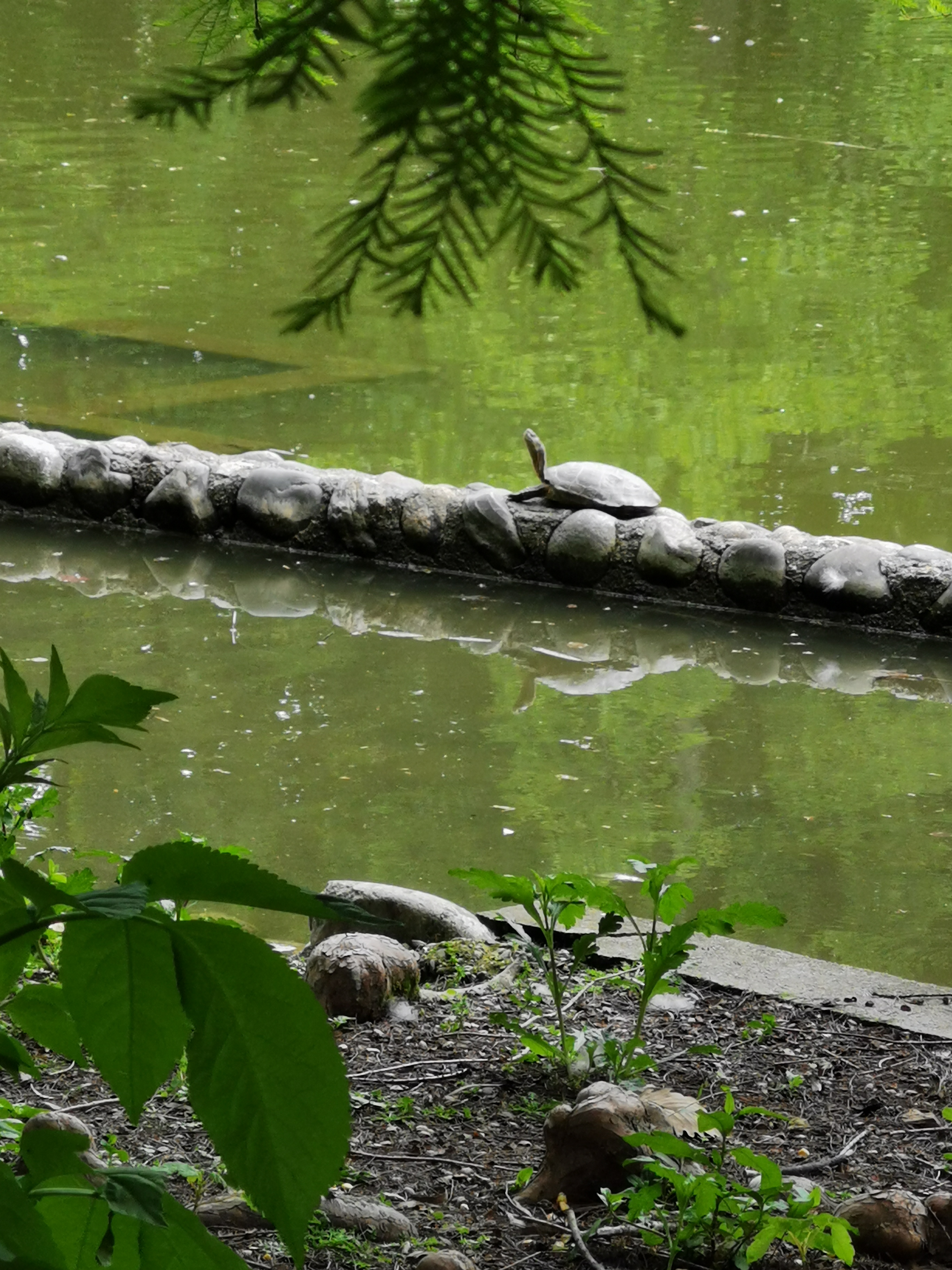 Photo n° 8 de l'avis de veronique.a fait le 26/05/2021 à 15:49