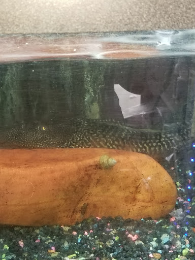 Pet Store «Pets Plus», reviews and photos, 5054 Old Taylor Mill Rd, Taylor Mill, KY 41015, USA