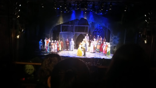 Performing Arts Theater «Smithtown Center for the Performing Arts», reviews and photos, 2 E Main St, Smithtown, NY 11787, USA