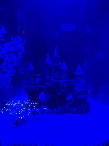 Pet Supply Store «Pet Supplies Plus», reviews and photos, 2441 N Center St, Hickory, NC 28601, USA