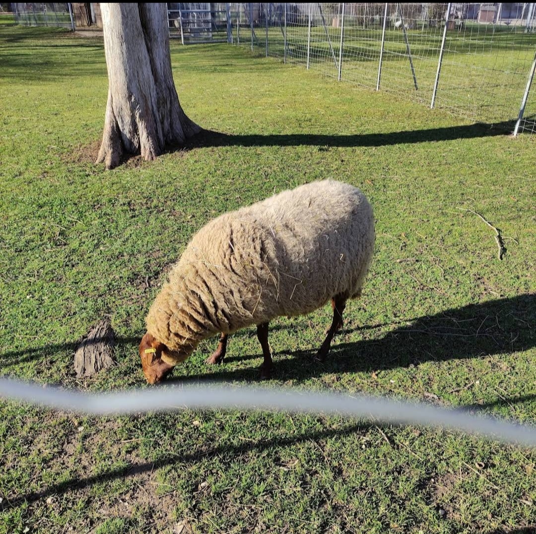 Photo n° 2 de l'avis de M-Jeanne. fait le 26/04/2023 à 22:08