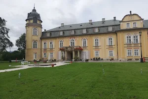 Pałac Żelazno image
