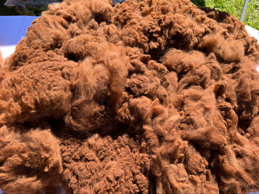 Gift Shop «Hidden Spring Lavender Farm and Gift Shoppe», reviews and photos, 890 Belle Mead-Blawenburg Rd, Skillman, NJ 08558, USA