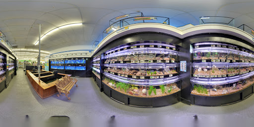 Pet Store «B & B Pet Stop, Inc.», reviews and photos, 5035 Cottage Hill Rd, Mobile, AL 36609, USA