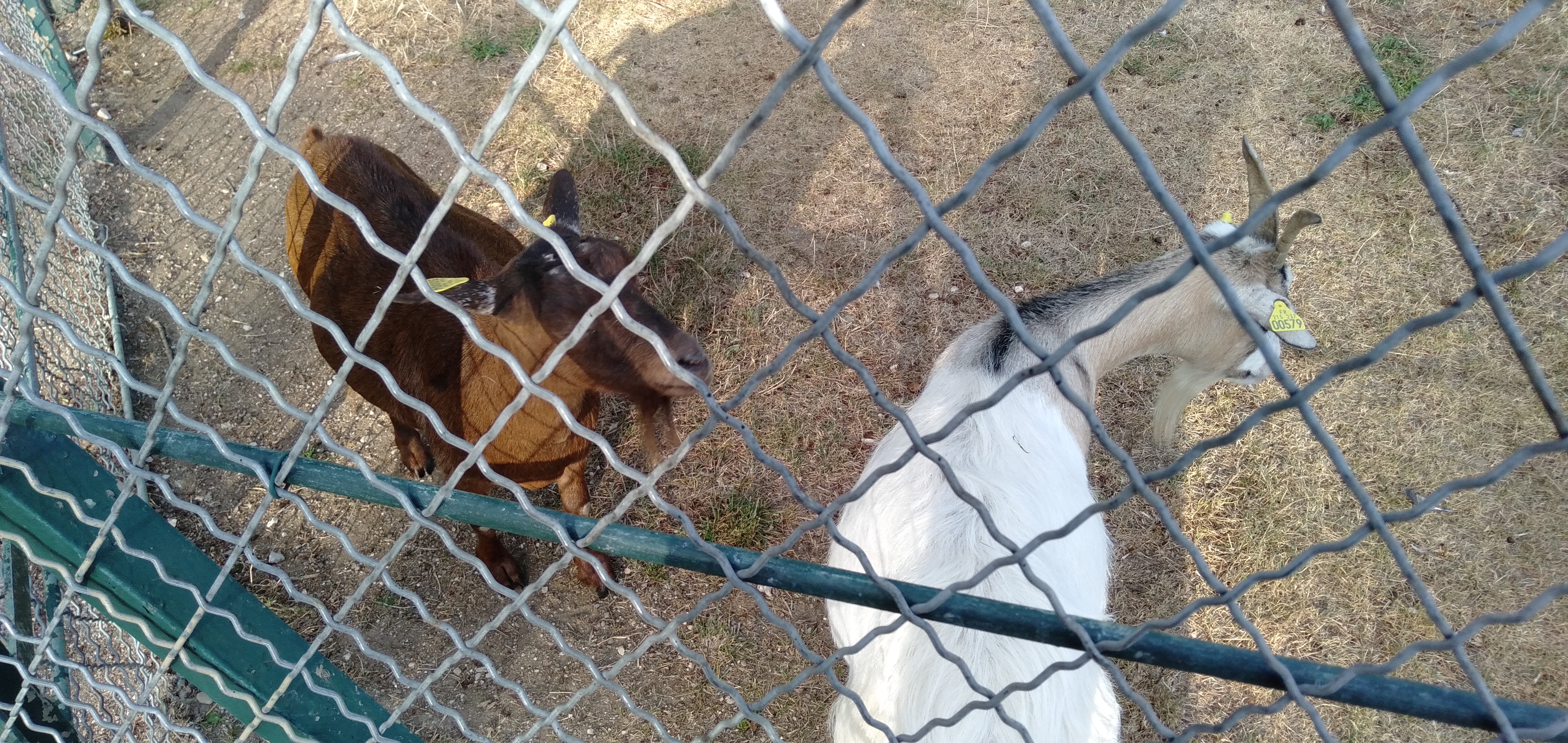 Photo n° 8 de l'avis de M-E. fait le 17/08/2020 à 16:55