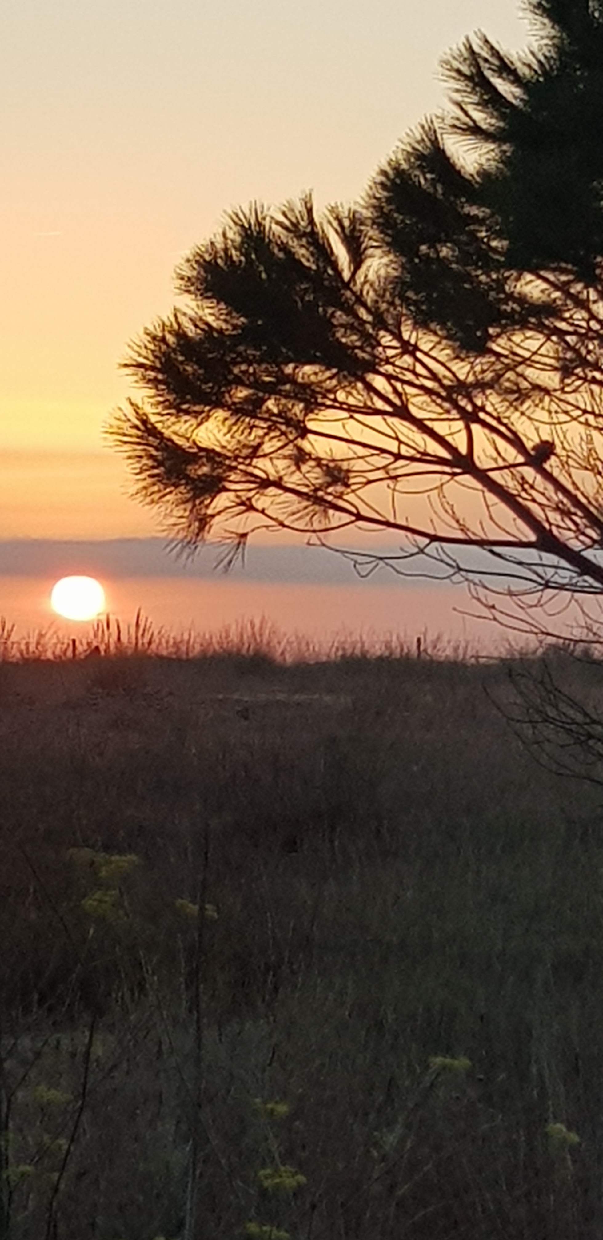 Photo n° 8 de l'avis de Jean-Luc.o fait le 24/09/2019 à 10:09