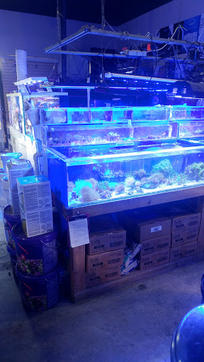 Pet Store «Aquarium & Reef Center», reviews and photos, 231 Del Prado Blvd, Cape Coral, FL 33990, USA