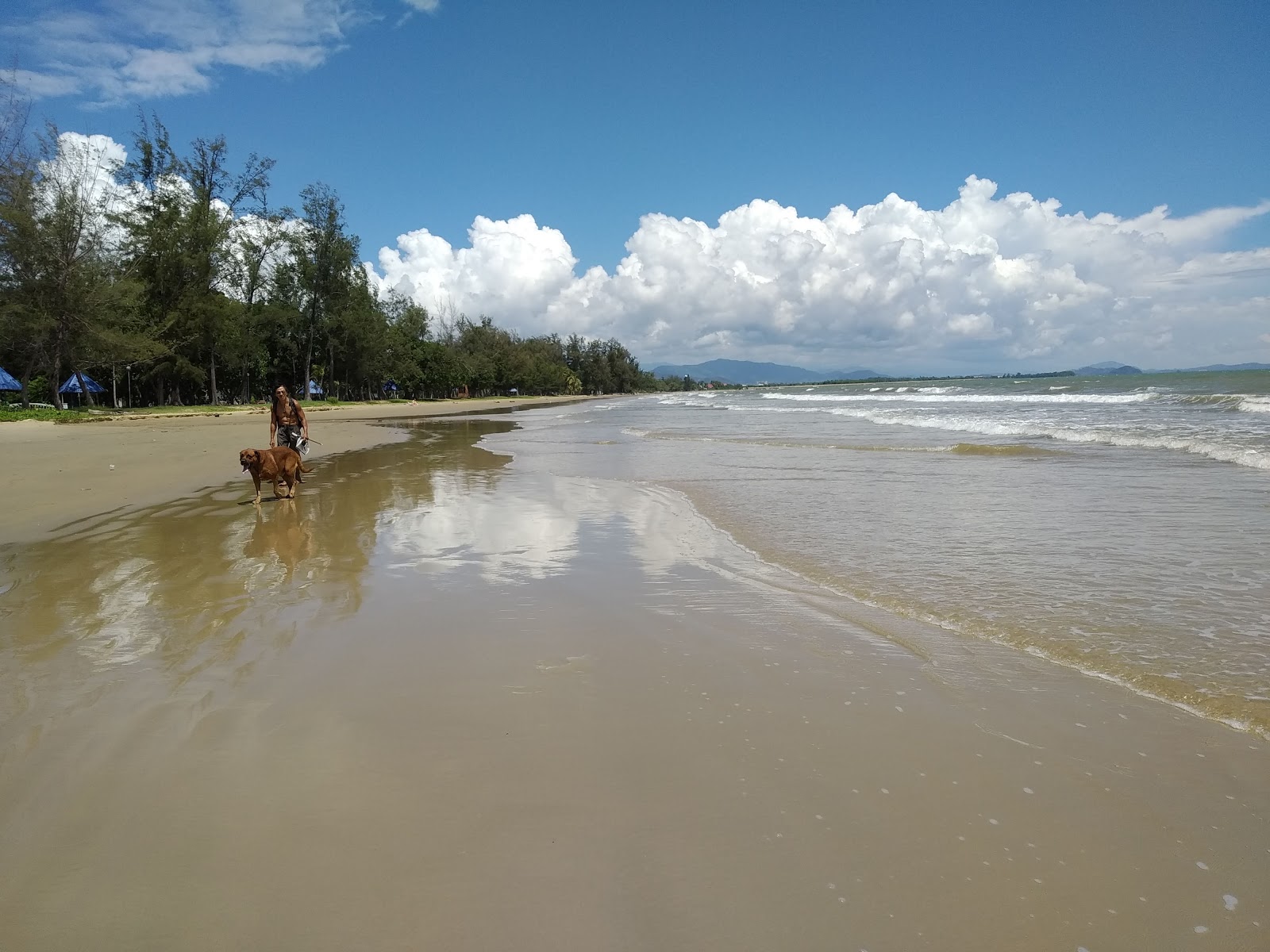 Fotografie cu Tanjung Aru Beach - locul popular printre cunoscătorii de relaxare
