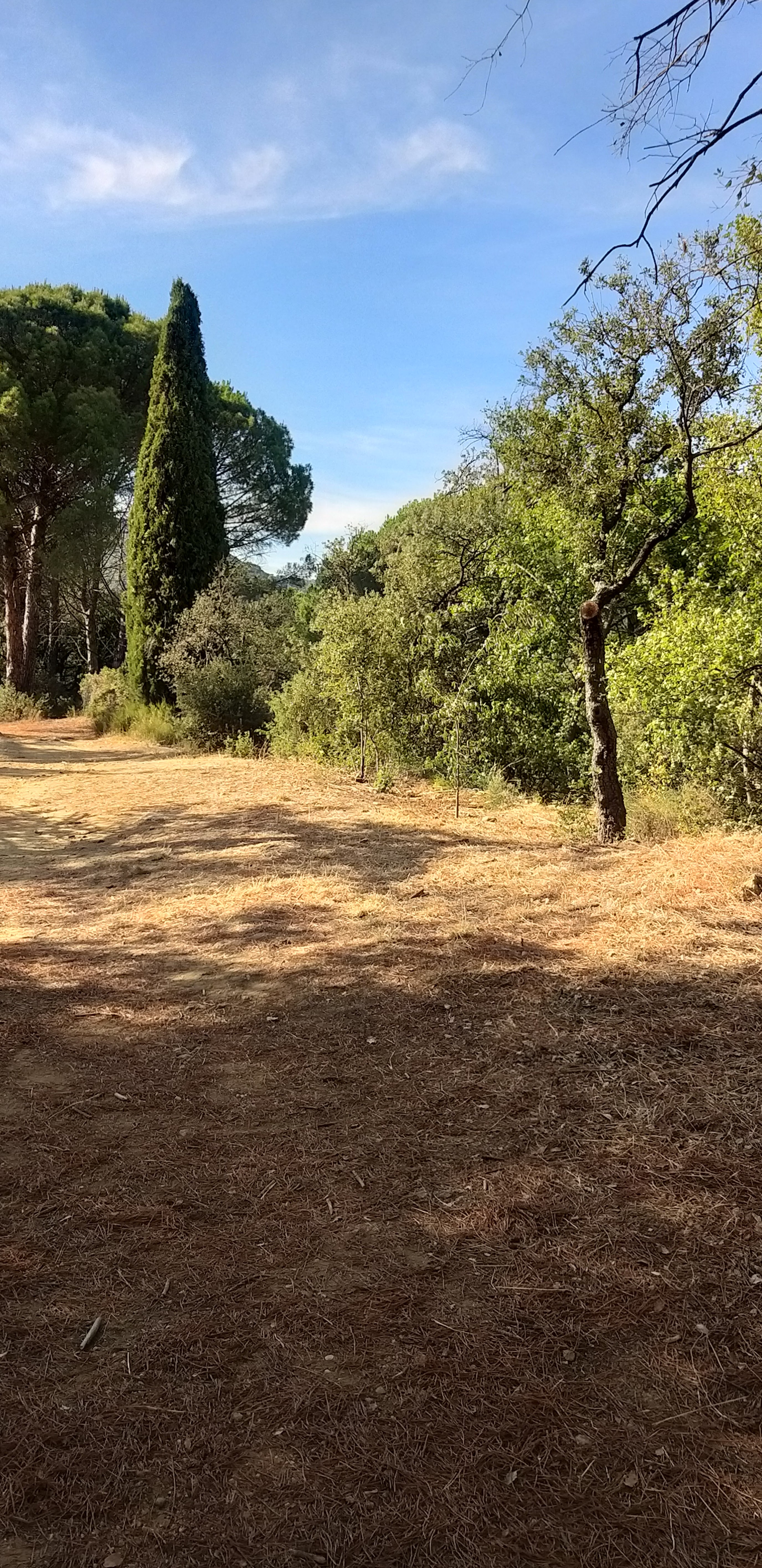 Photo n° 35 de l'avis de unmecdesannees80. fait le 27/08/2019 à 18:09