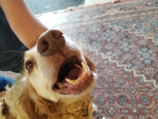 Winery «Ocoee Winery Inc», reviews and photos, 5365 Waterlevel Hwy, Cleveland, TN 37323, USA