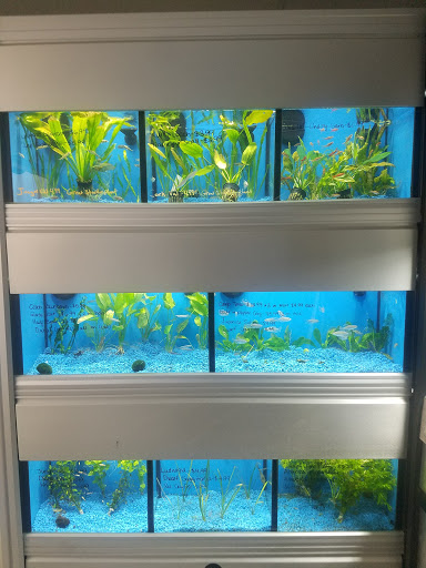 Pet Supply Store «PetKraze», reviews and photos, 100 Independent Way, Brewster, NY 10509, USA