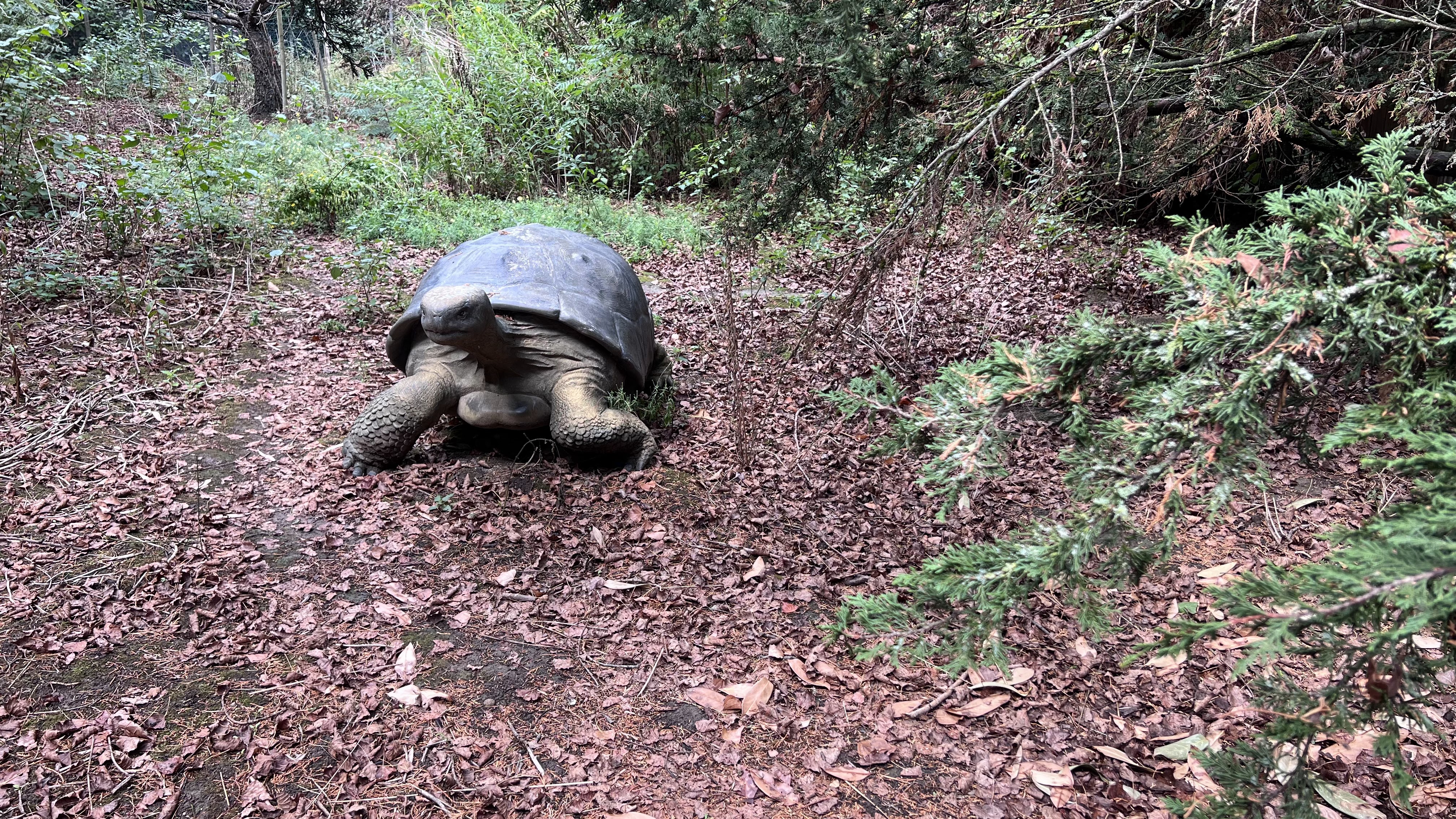Photo n° 14 de l'avis de Pascale.e fait le 08/09/2022 à 17:03