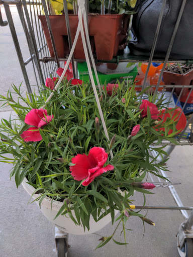 Home Improvement Store «Menards», reviews and photos, 3800 National Rd E, Richmond, IN 47374, USA