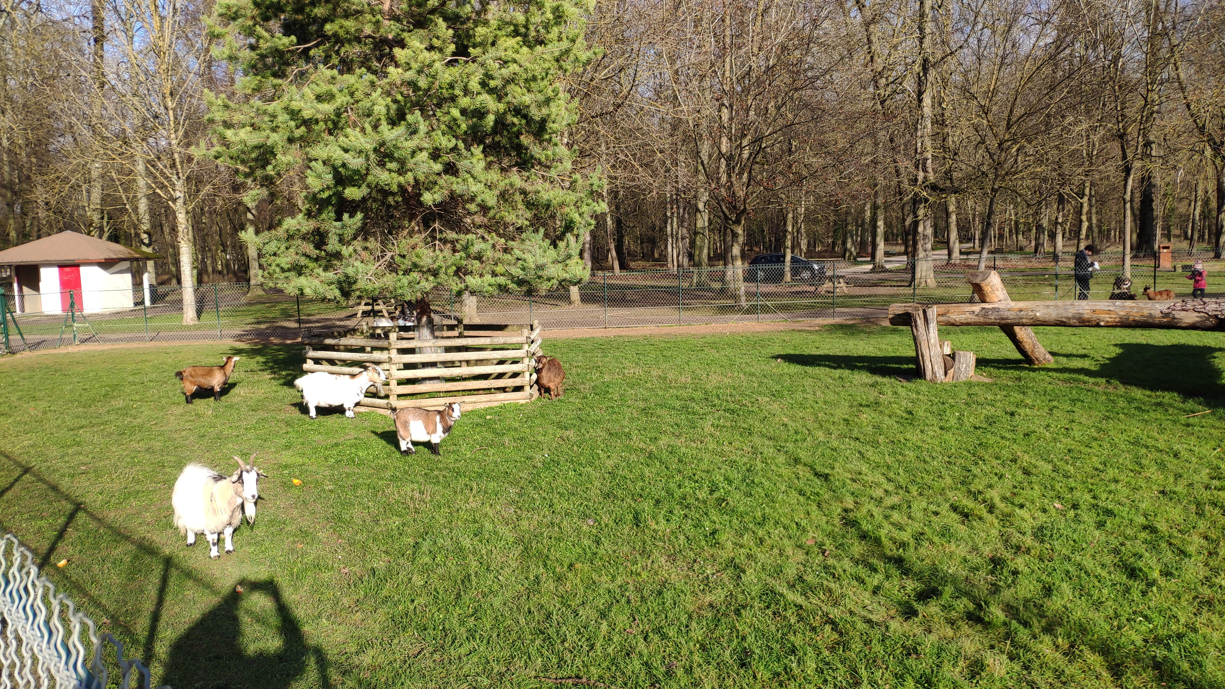 Photo n° 2 de l'avis de CYRIL.U fait le 31/12/2020 à 13:47