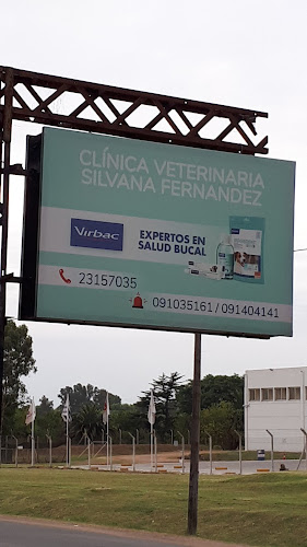 Clinica Veterinaria Silvana Fernandez - Montevideo