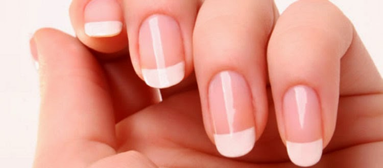 Paradise Nail & Spa 07444