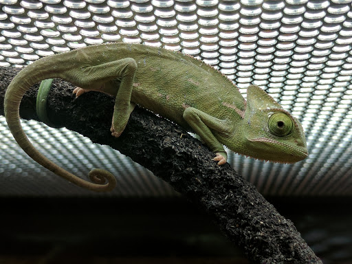 Pet Supply Store «Petco Animal Supplies», reviews and photos, 8164 Mall Pkwy, Lithonia, GA 30038, USA