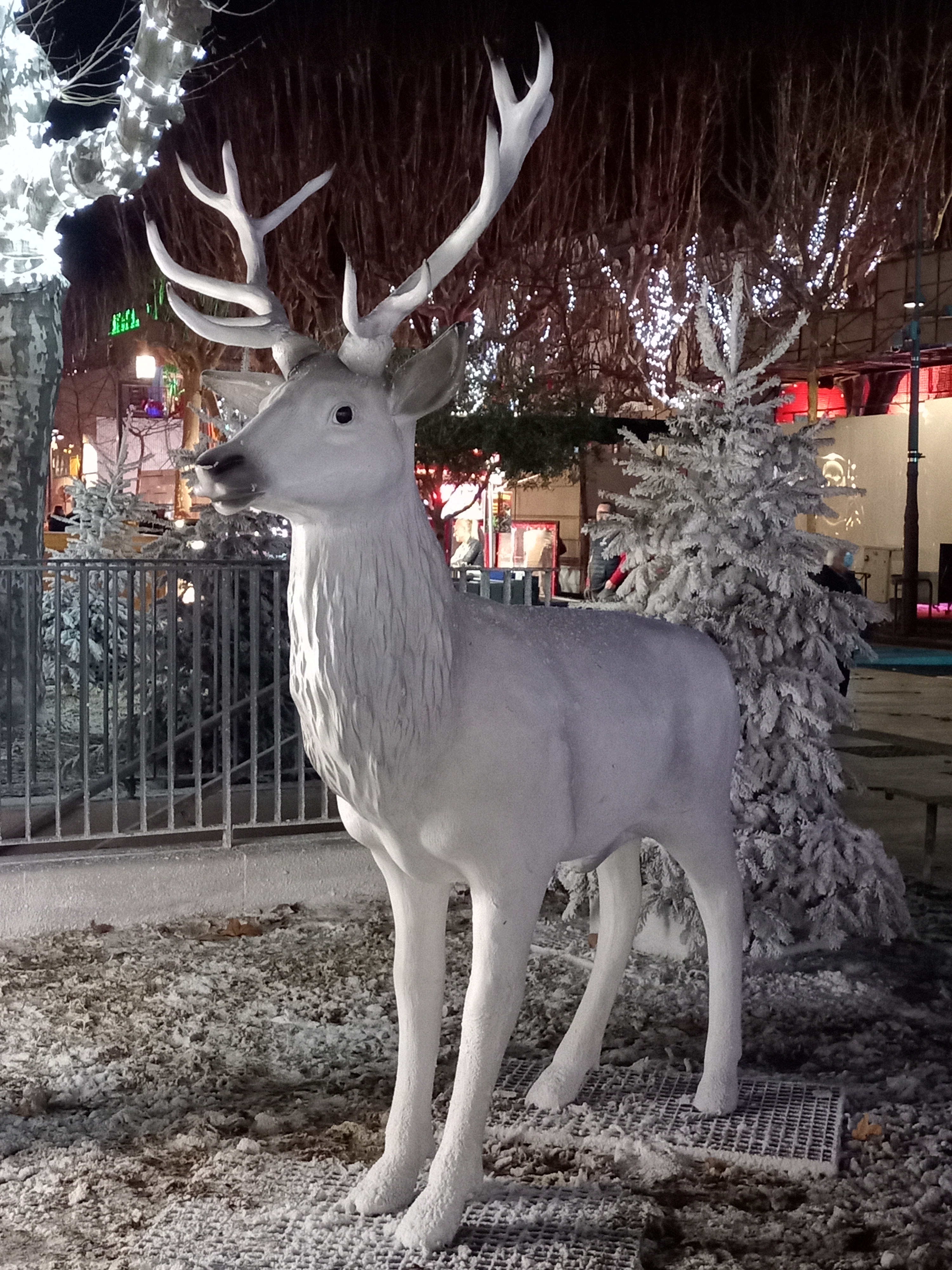 Photo n° 4 de l'avis de Laëtitia. fait le 30/12/2021 à 21:07