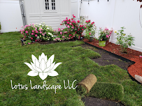 Lotus Landscape LLC - Photo 5 - Car repair in Rahway, NJ, Staten Island