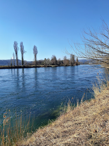 Camping Hochrhein - Campingplatz