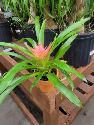 Home Improvement Store «The Home Depot», reviews and photos, 1621 N Olden Ave, Ewing Township, NJ 08638, USA