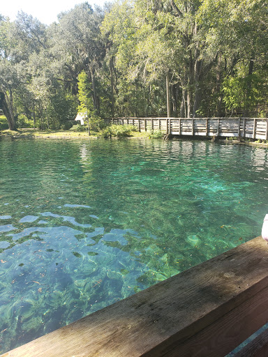 Nature Preserve «Crystal Springs Preserve», reviews and photos, 1609 Crystal Springs Rd, Crystal Springs, FL 33524, USA