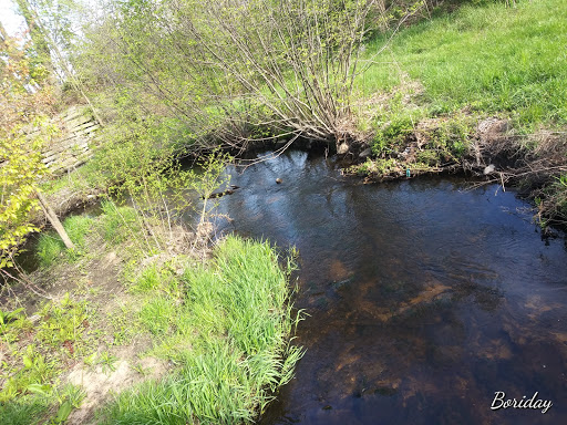 Park «Cass Park», reviews and photos, Cass Avenue, Woonsocket, RI 02895, USA