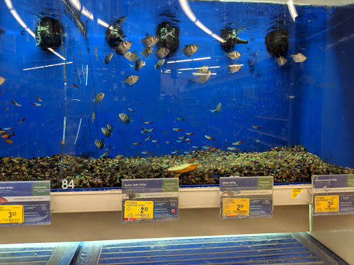 Pet Supply Store «PetSmart», reviews and photos, 2901 Agua Fria Fwy, Phoenix, AZ 85027, USA