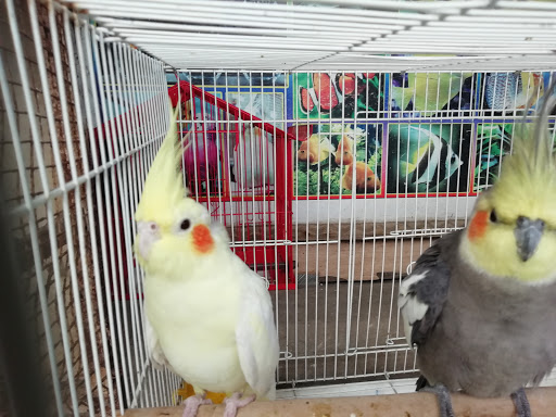 The Pets Corner Products