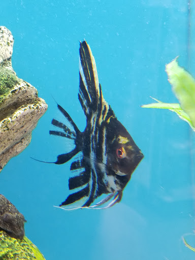 Pet Supply Store «PetSmart», reviews and photos, 11200 Prairie Lakes Dr, Eden Prairie, MN 55344, USA