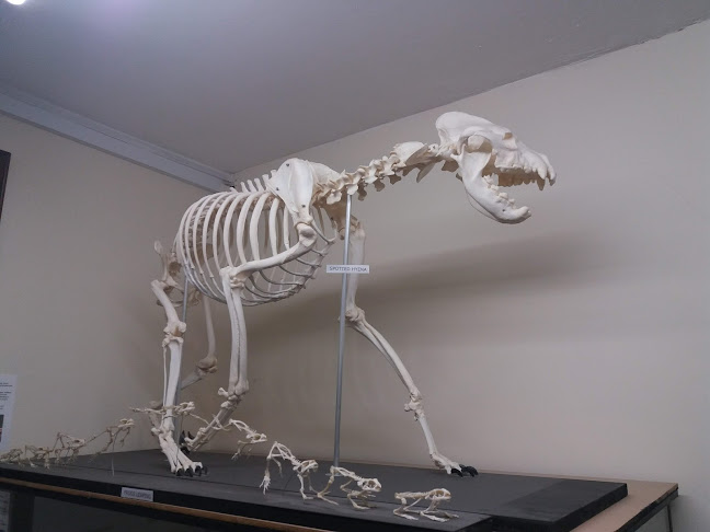 Reviews of Yorkshire Skeleton Museum in Doncaster - Museum