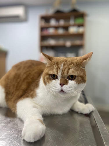 Κτηνιατρικό Κέντρο Χρονόπουλος Χρήστος